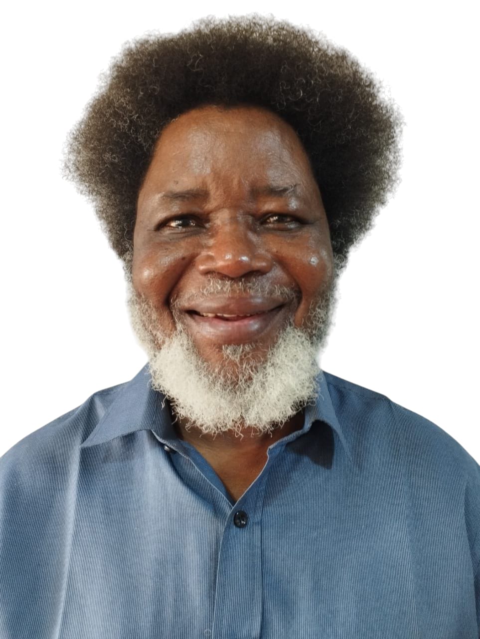 Professor Oladiipo Ajiboye